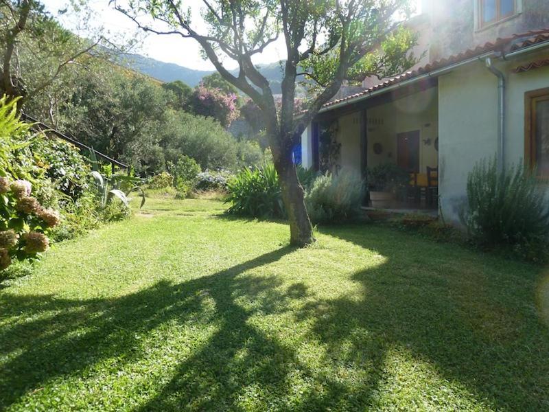 Casa Puccini B&B Maratea Exterior photo